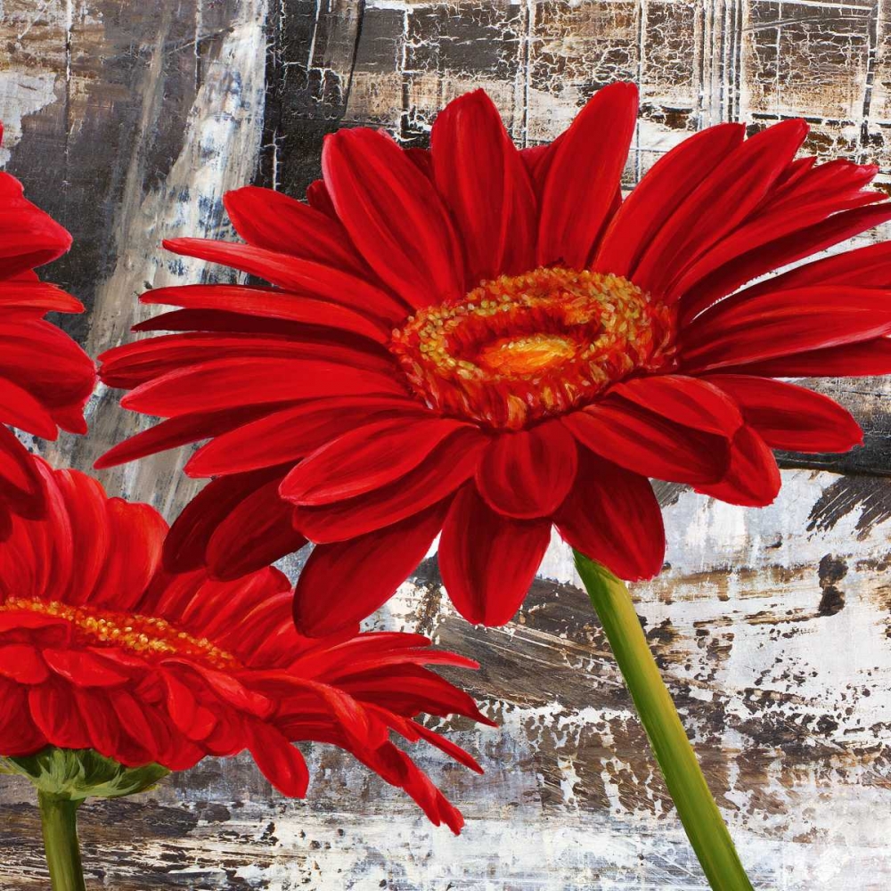 Wall Art Painting id:42549, Name: Red Gerberas II, Artist: Thomlinson, Jenny