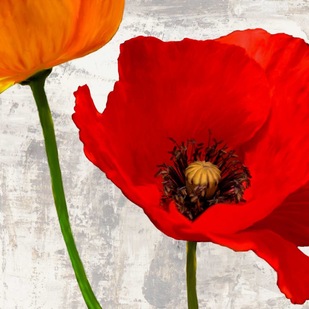 Art Print: Summer Poppies I