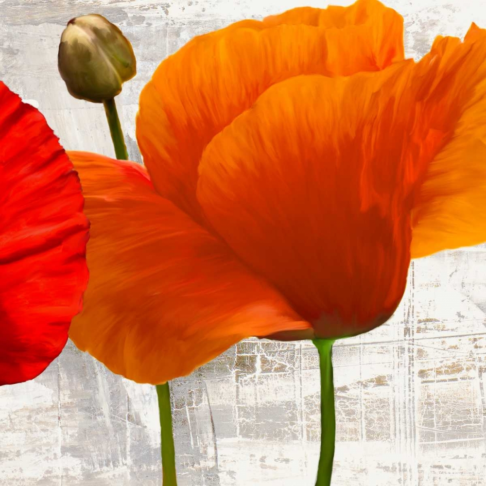 Art Print: Summer Poppies II
