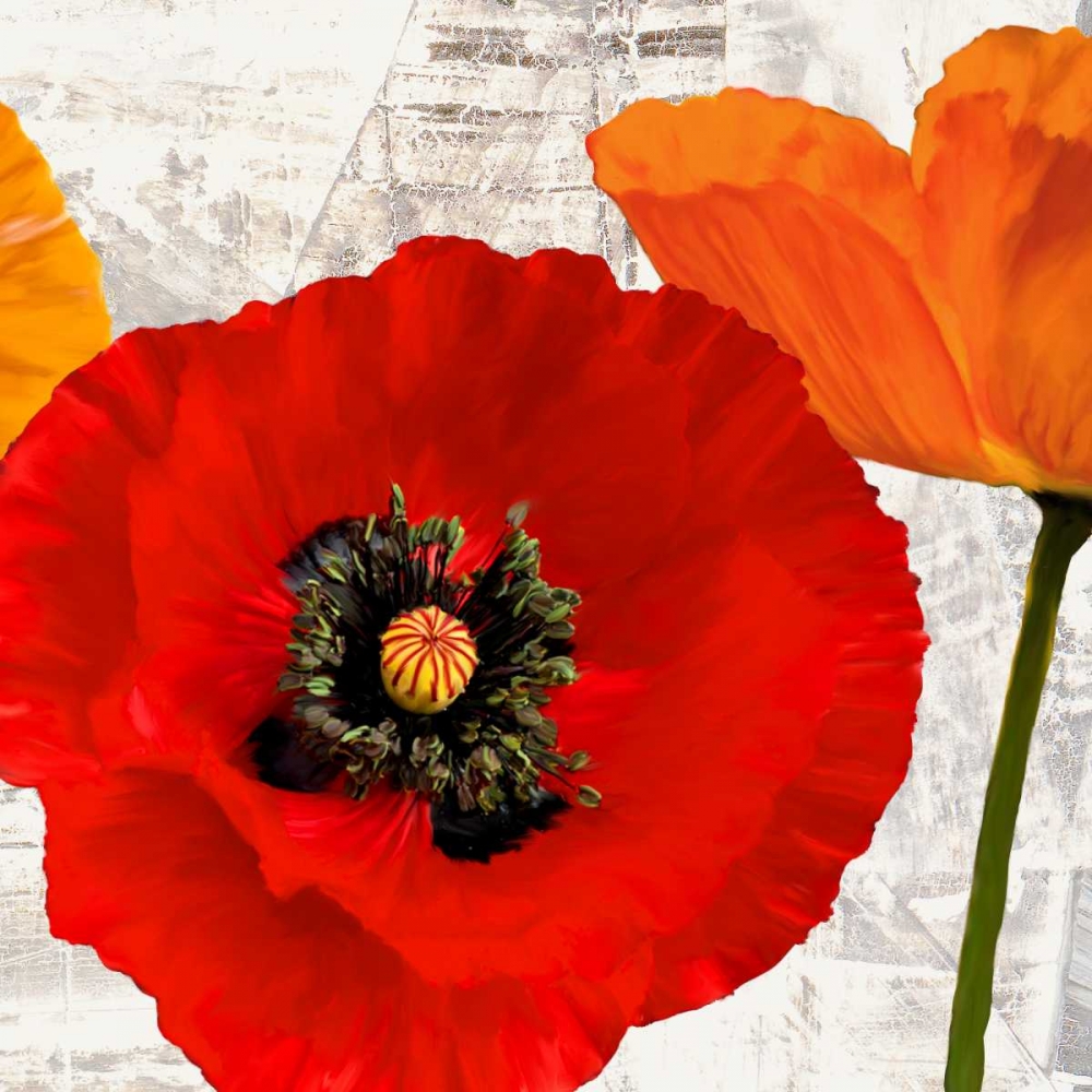 Art Print: Summer Poppies III
