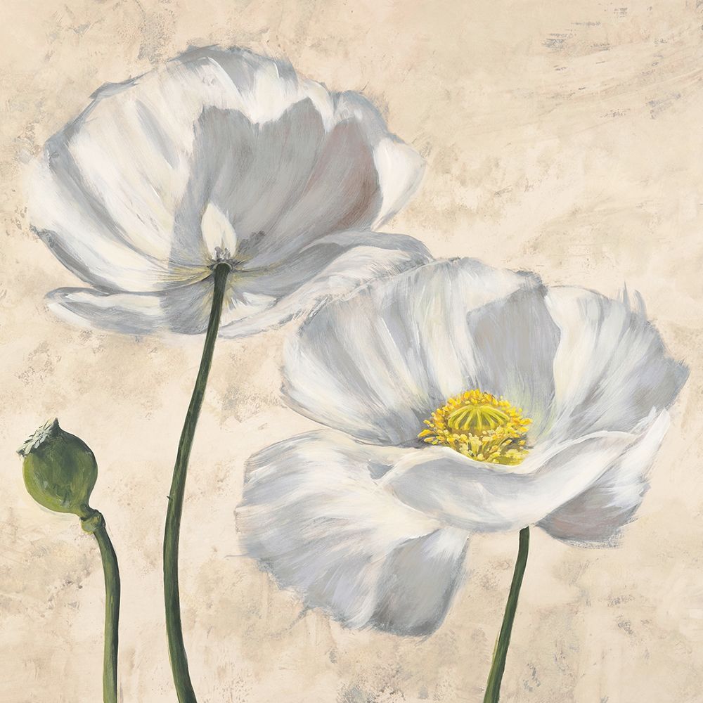 Wall Art Painting id:218485, Name: Poppies in White I, Artist: Villa, Luca