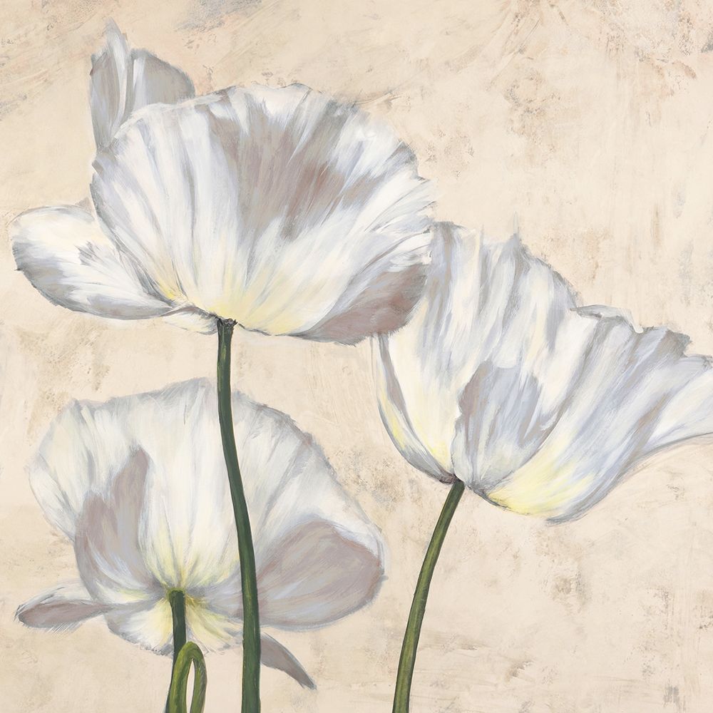 Wall Art Painting id:218486, Name: Poppies in White II, Artist: Villa, Luca