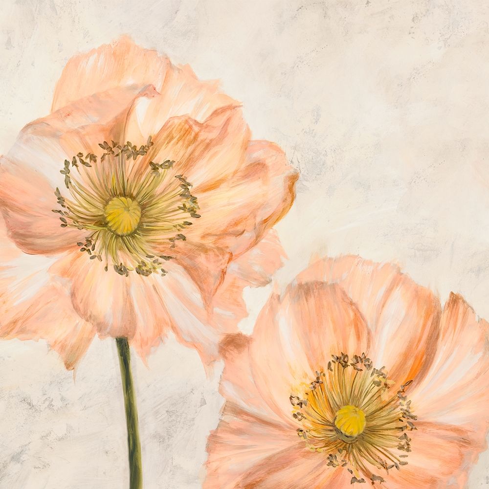 Wall Art Painting id:218487, Name: Poppies in Pink I, Artist: Villa, Luca