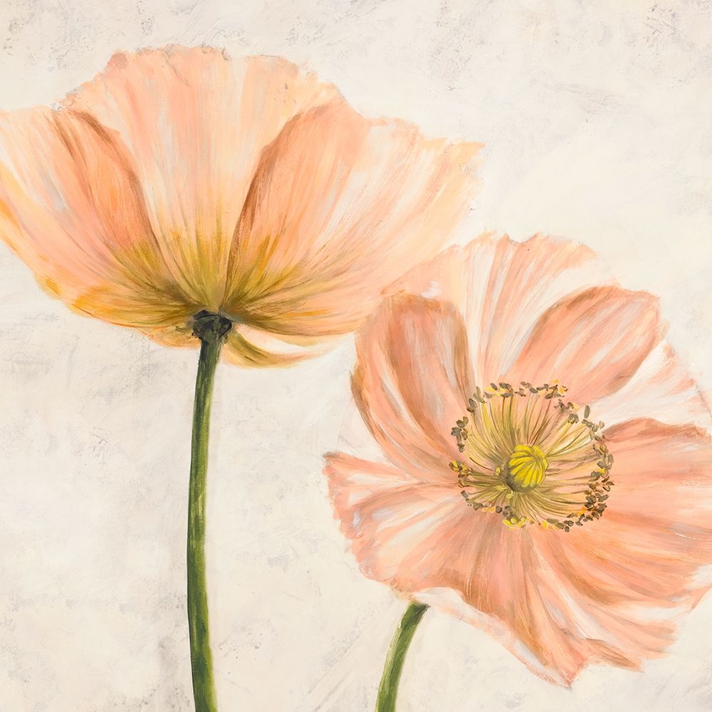 Wall Art Painting id:218488, Name: Poppies in Pink II, Artist: Villa, Luca