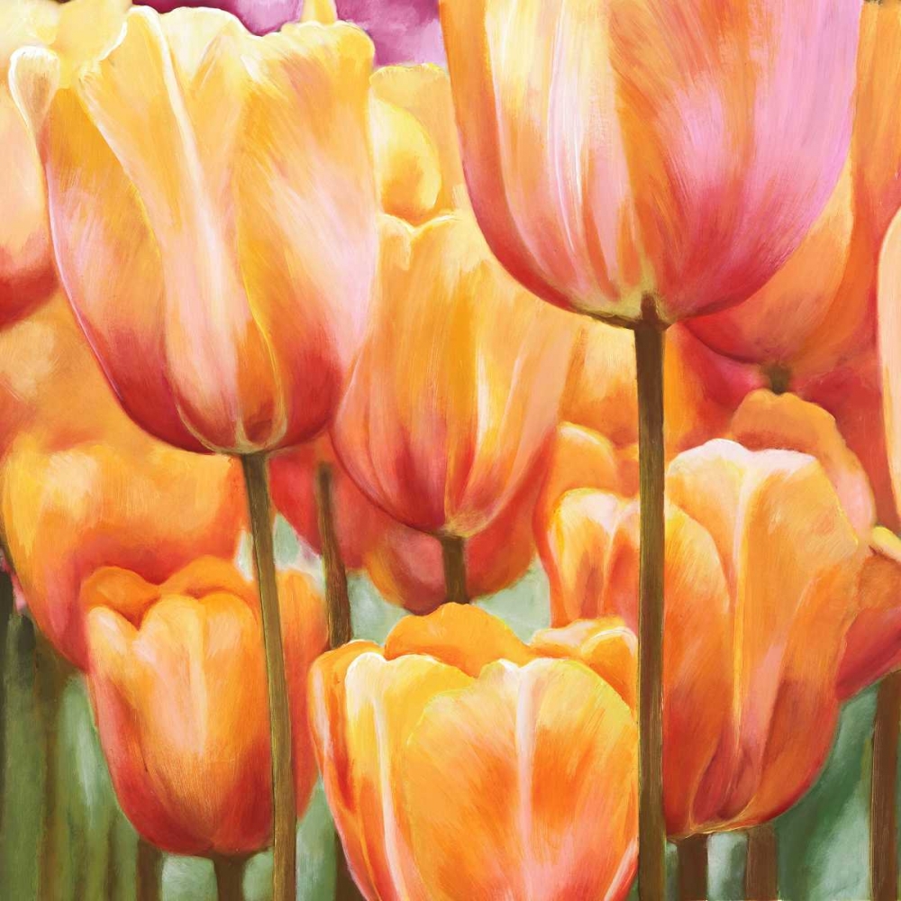 Art Print: Spring Tulips II