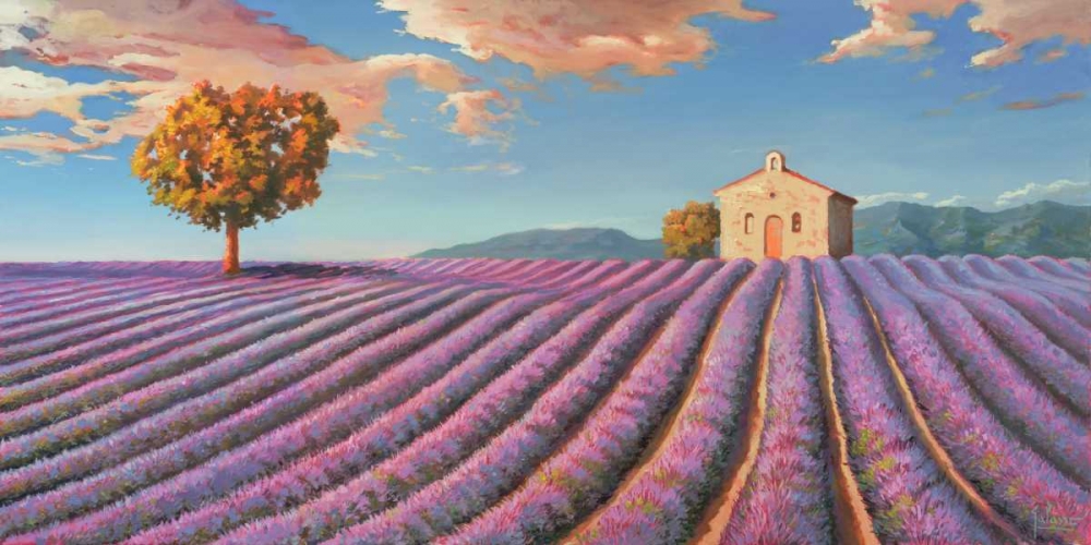 Wall Art Painting id:42958, Name: Campi di lavanda, Artist: Galasso, Adriano