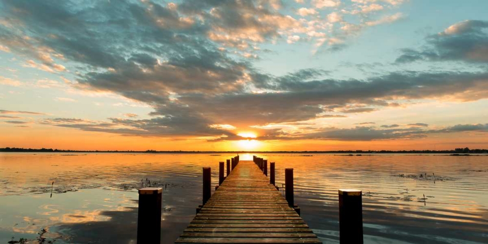 Wall Art Painting id:167337, Name: Morning Lights on a Jetty (detail), Artist: Pangea Images