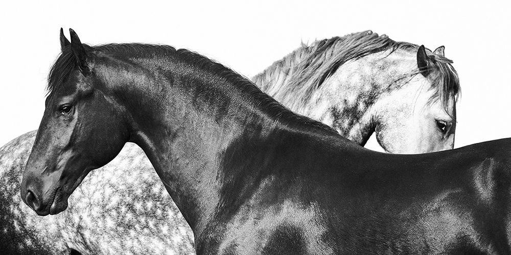 Similar wall art painting: 193556