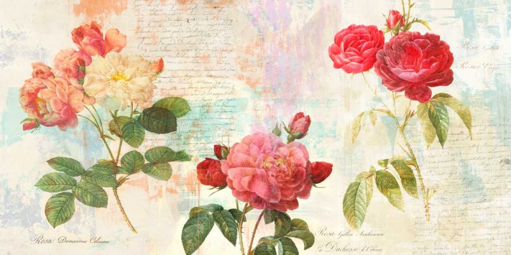 Wall Art Painting id:150124, Name: Redoutes Roses 2.0, Artist: Chestier, Eric