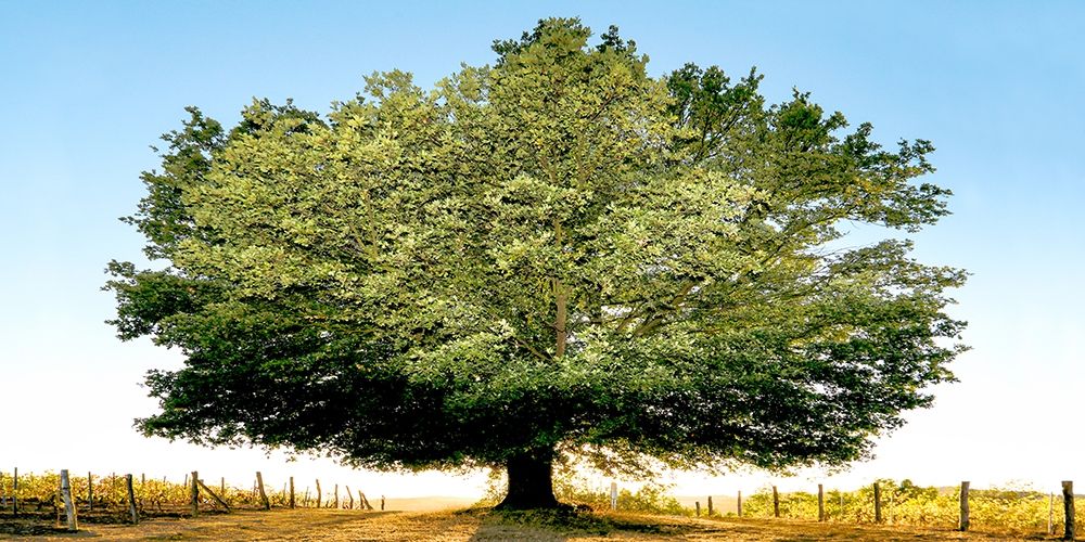 Similar wall art painting: 193482