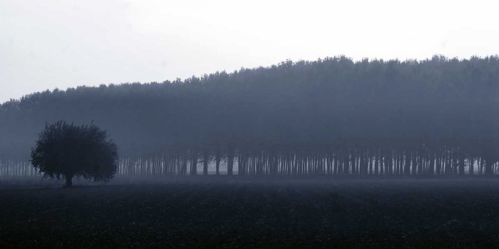 Similar wall art painting: 43012