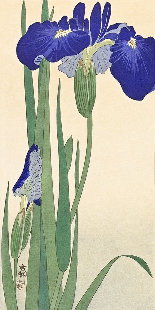 Art Print: Irises