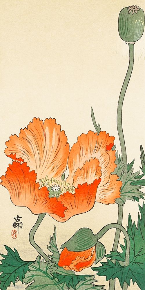 Art Print: Poppies
