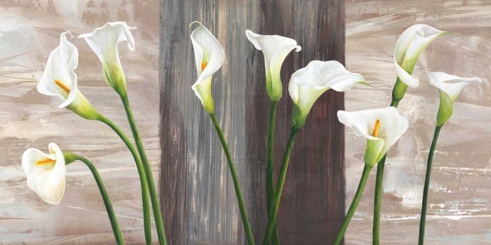 Wall Art Painting id:42840, Name: Country Callas, Artist: Thomlinson, Jenny