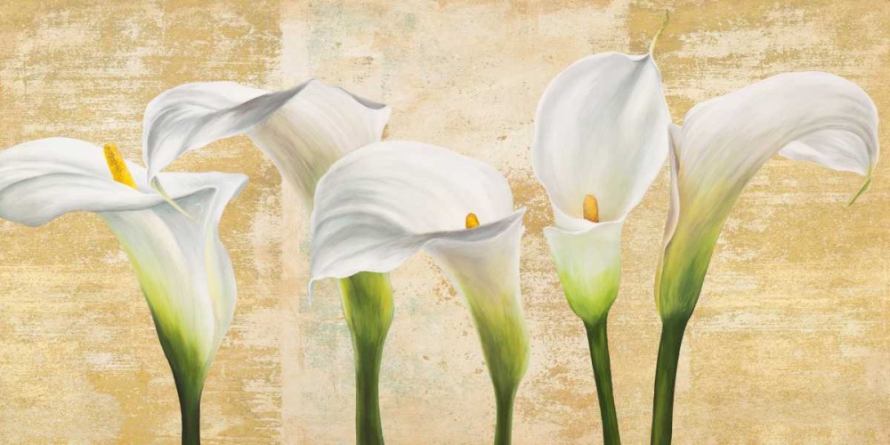 Wall Art Painting id:117928, Name: Callas on Gold (neutral variation), Artist: Thomlinson, Jenny