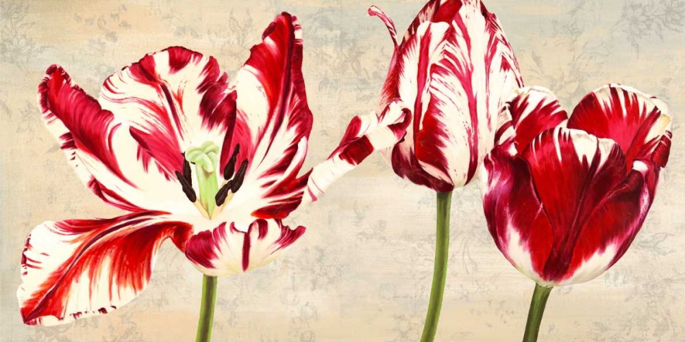 Art Print: Tulipes Royales