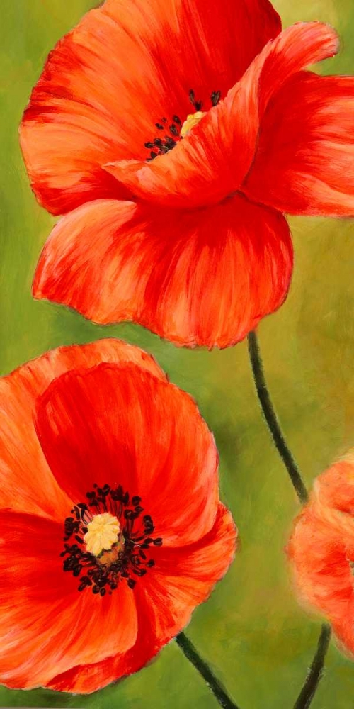 Wall Art Painting id:117934, Name: Poppies in the wind I, Artist: Villa, Luca