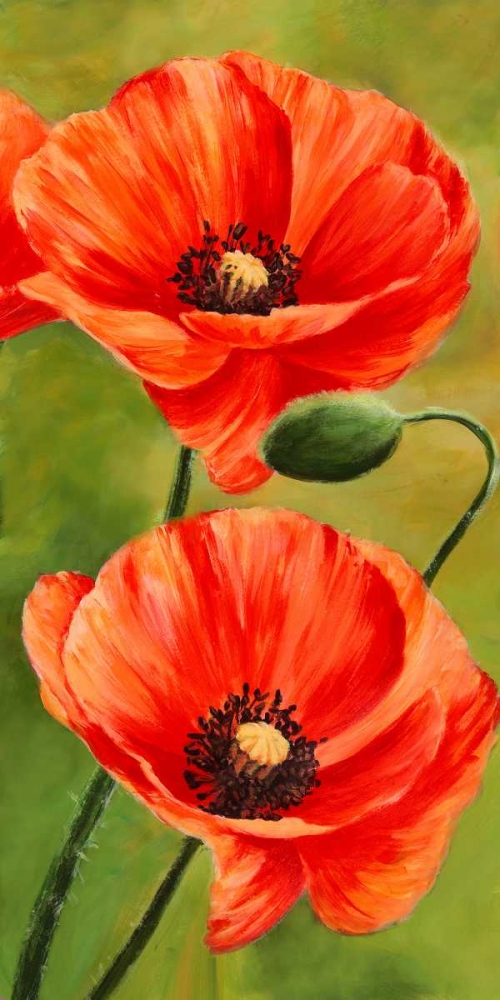 Wall Art Painting id:117935, Name: Poppies in the wind II, Artist: Villa, Luca