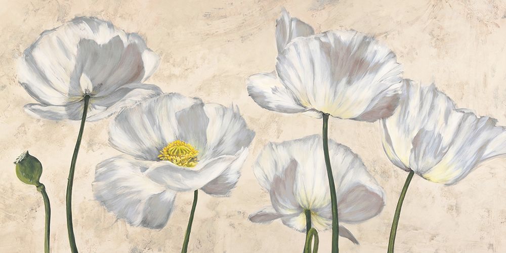 Wall Art Painting id:218481, Name: Poppies in White, Artist: Villa, Luca