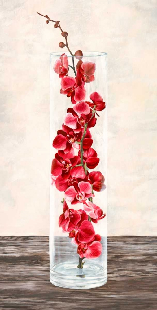 Wall Art Painting id:64998, Name: Arrangement of orchids, Artist: Mills, Shin 