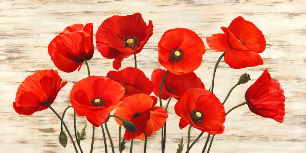 Wall Art Painting id:42841, Name: French Poppies, Artist: Biffi, Serena