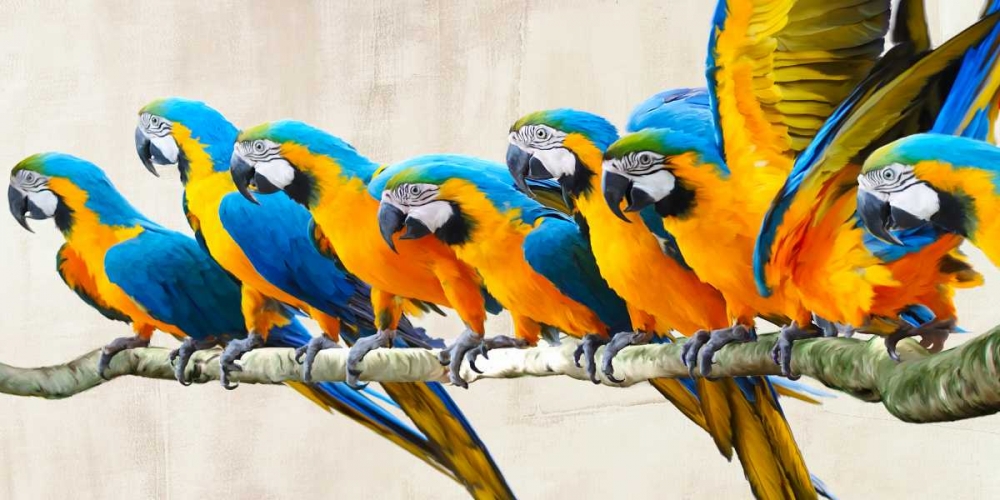 Similar wall art painting: 43344