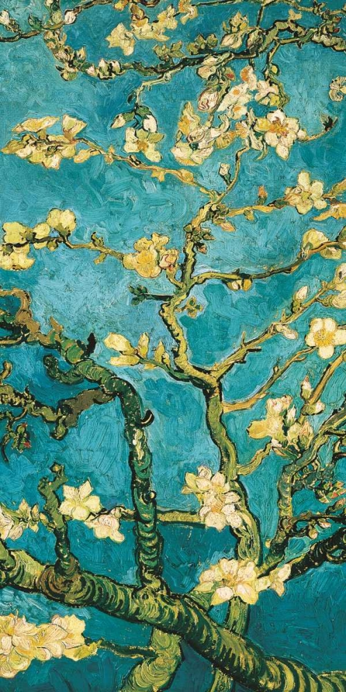 Wall Art Painting id:43119, Name: Mandorlo in fiore II, Artist: Van Gogh, Vincent