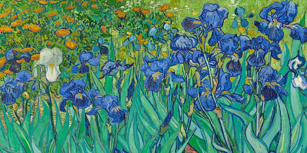 Art Print: Irises (detail)