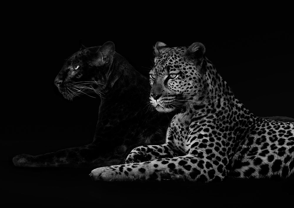 Similar wall art painting: 218590