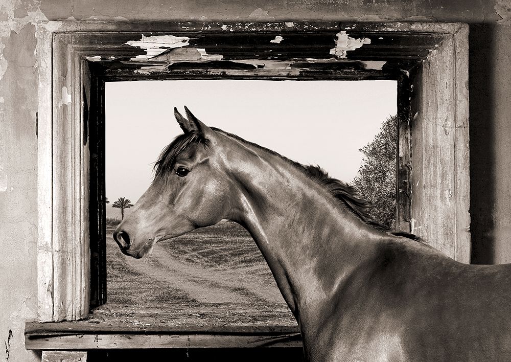 Similar wall art painting: 218247