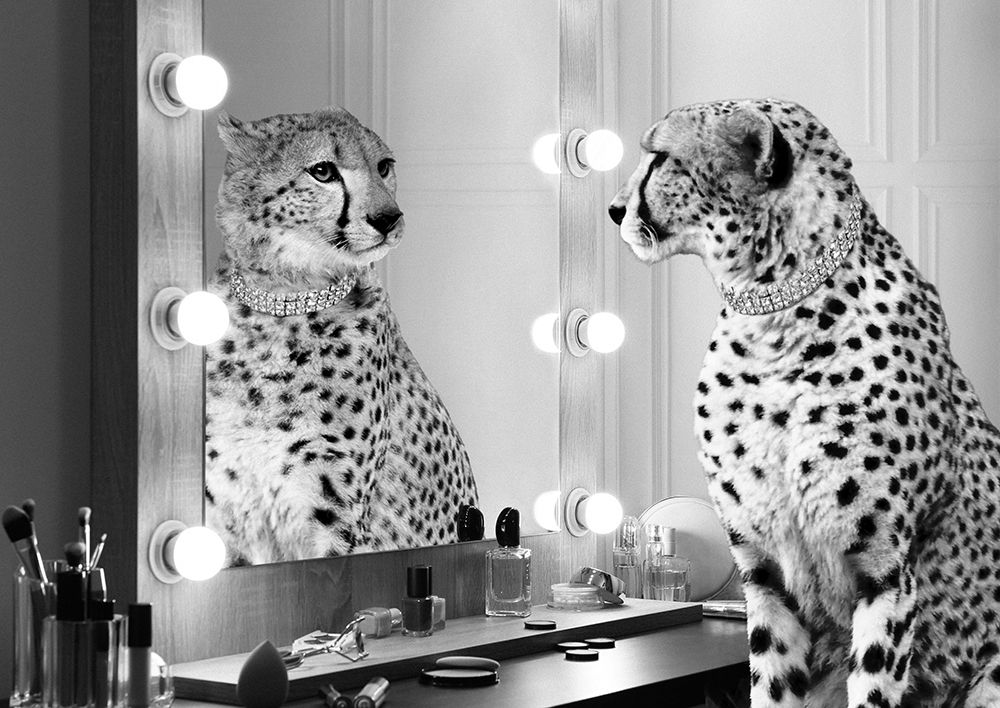 Similar wall art painting: 354178