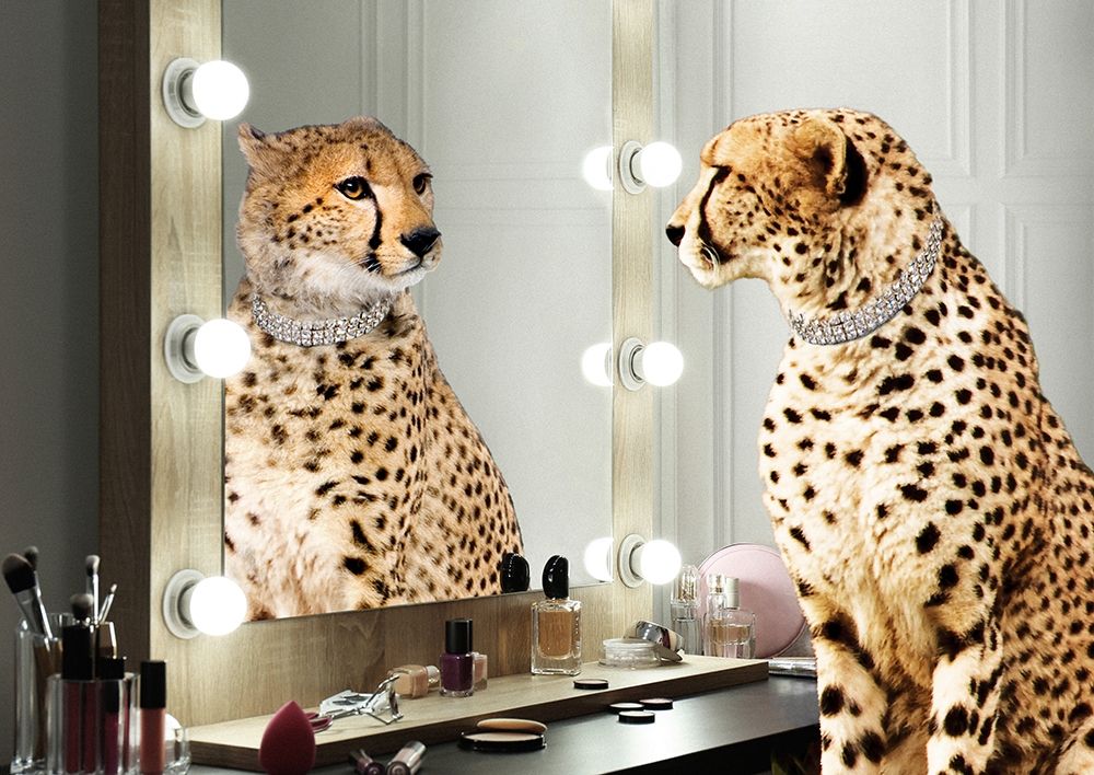 Similar wall art painting: 354179