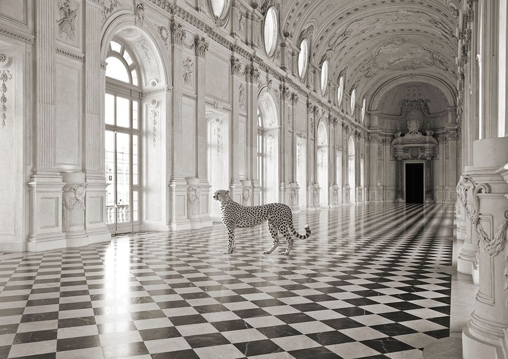 Similar wall art painting: 354181