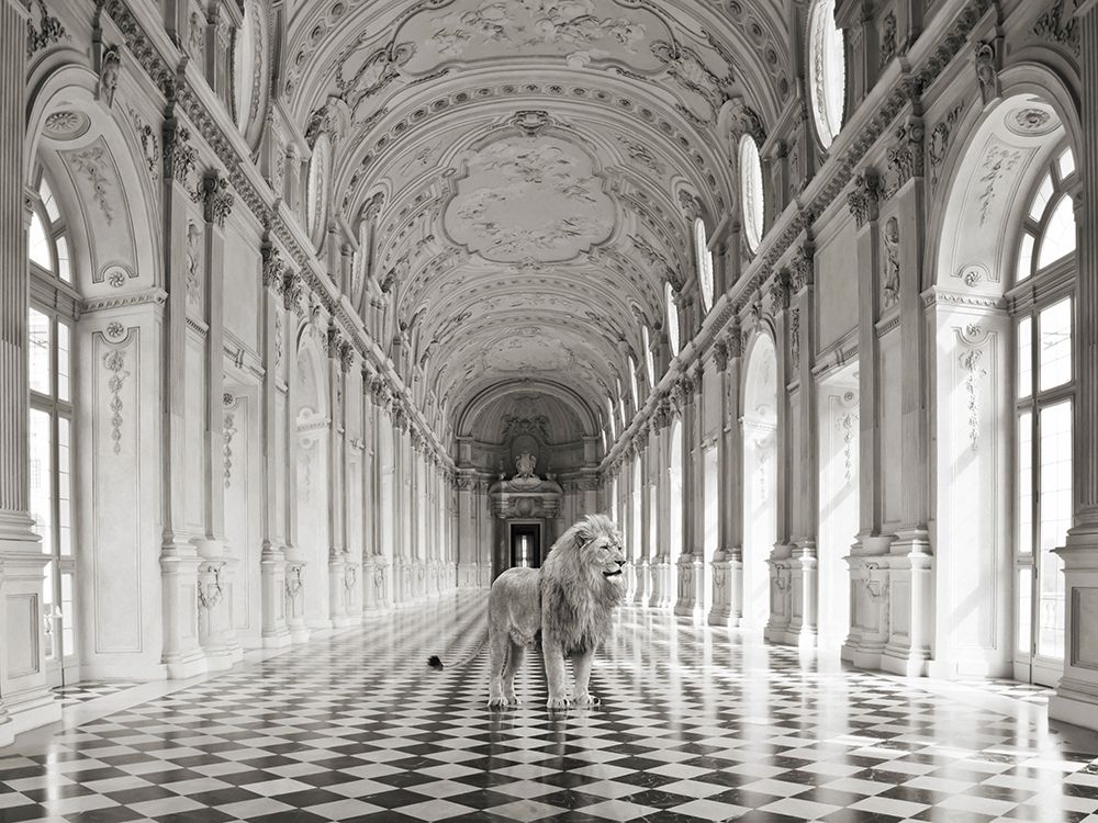 Similar wall art painting: 354184