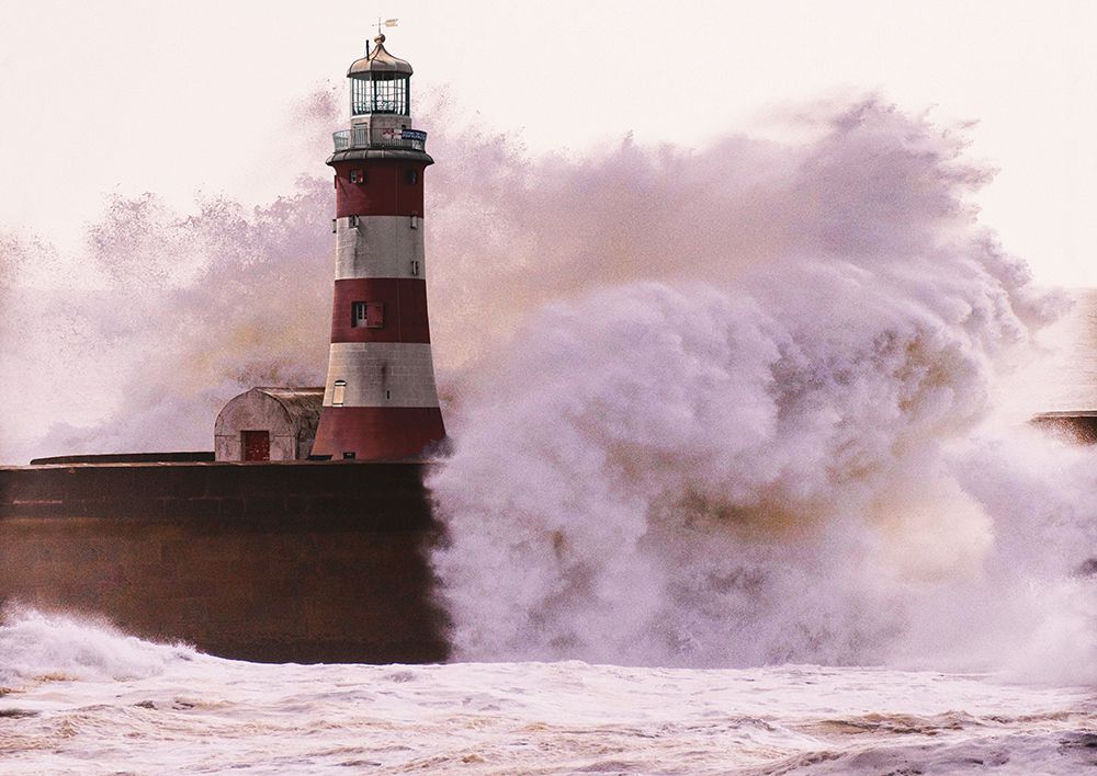 Wall Art Painting id:634041, Name: Lighthouse in Guadalupe, Artist: Pangea Images