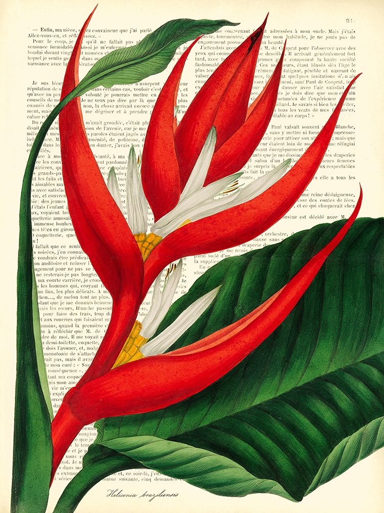 Wall Art Painting id:244212, Name: Vintage Botany I, Artist: Dellal, Remy