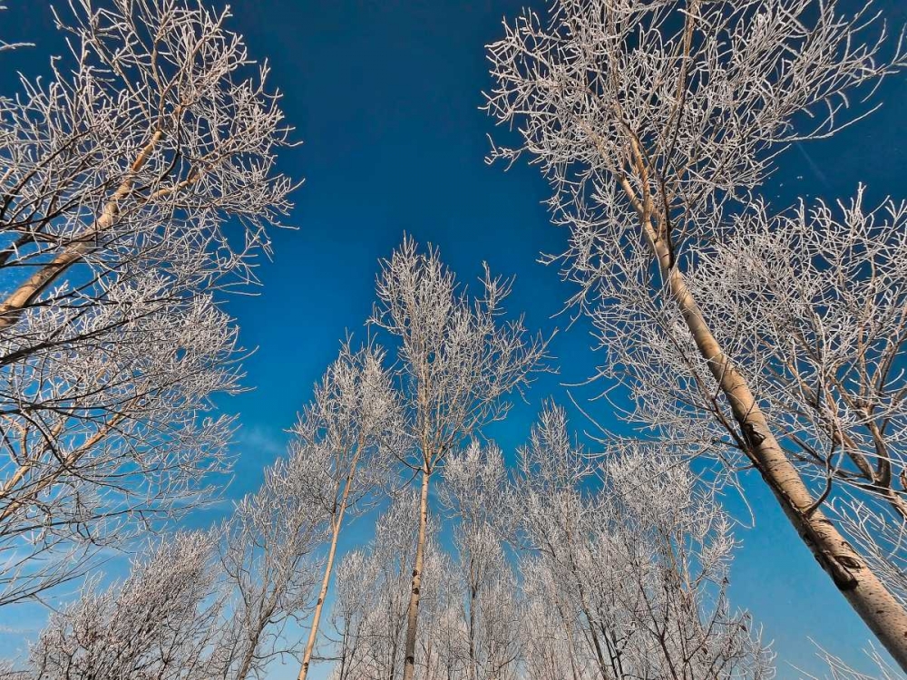 Similar wall art painting: 118112