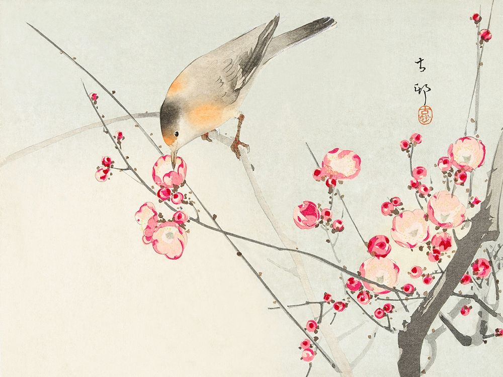 Art Print: Songbird on blossom Branch