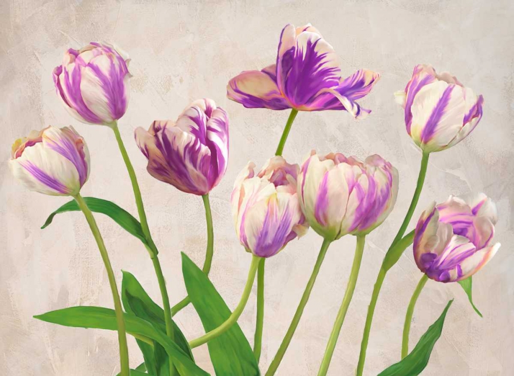 Art Print: Tulipes