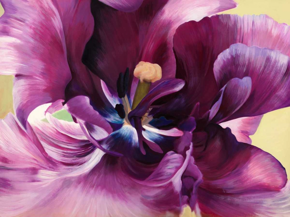 Wall Art Painting id:43424, Name: Purple tulip close-up, Artist: Villa, Luca
