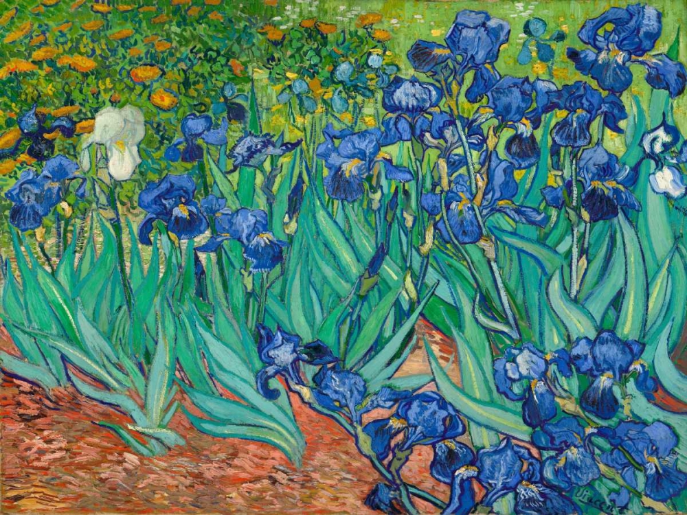 Wall Art Painting id:43918, Name: Irises, Artist: Van Gogh, Vincent