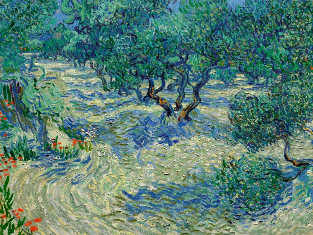 Wall Art Painting id:43906, Name: Olive Orchard, Artist: Van Gogh, Vincent