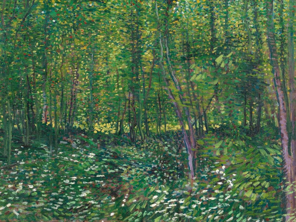 Art Print: Trees and undergrowth