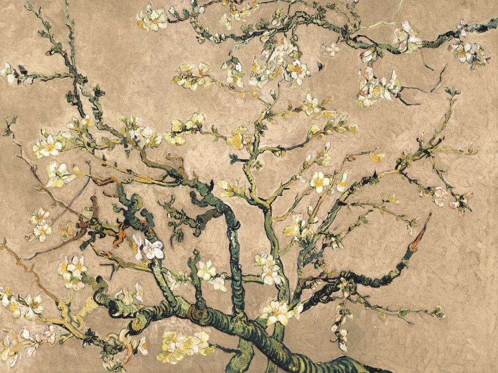 Wall Art Painting id:118173, Name: Mandorlo in fiore (beige variation), Artist: Van Gogh, Vincent