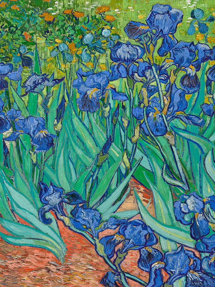 Wall Art Painting id:769634, Name: Irises (detail), Artist: van Gogh, Vincent