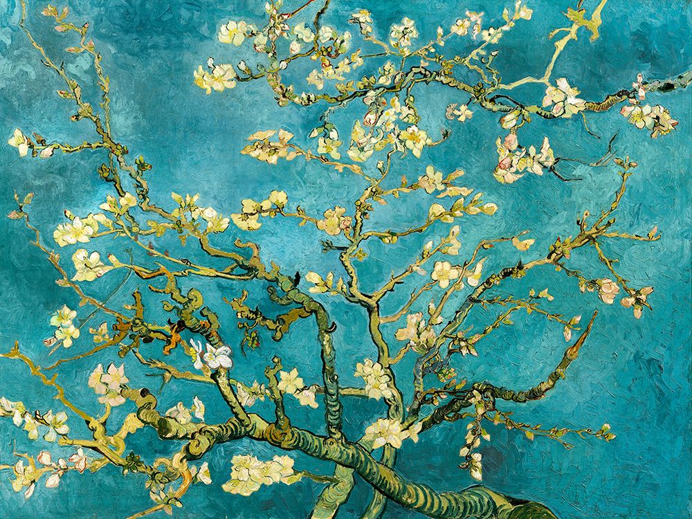 Art Print: Mandorlo in fiore