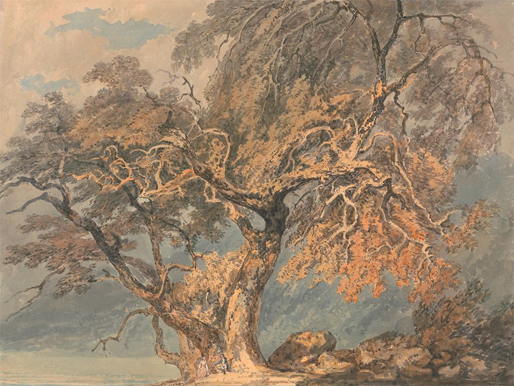 Wall Art Painting id:537060, Name: A Great Tree, Artist: Turner, William