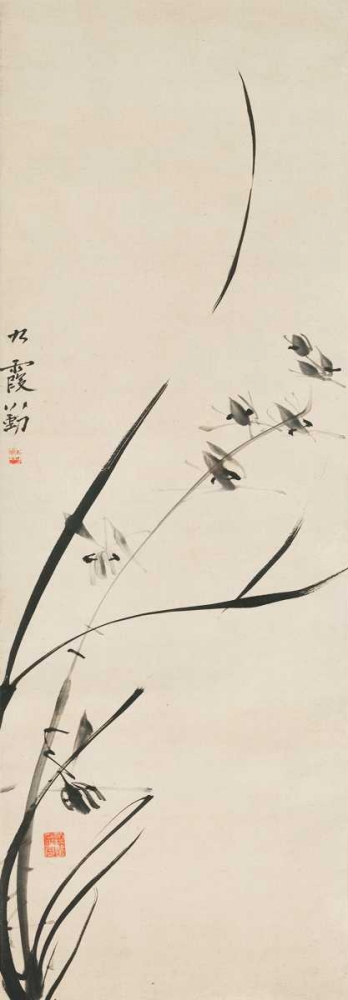 Wall Art Painting id:162724, Name: Orchids , Artist: Anonymous