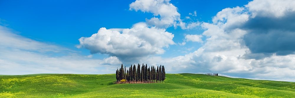 Wall Art Painting id:354144, Name: Cypresses- Val dOrcia- Tuscany, Artist: Krahmer, Frank