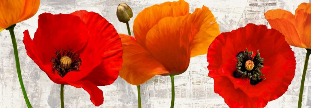 Art Print: Summer Poppies